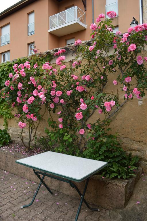 Cote Midi Chambre D'Hote Chaneins エクステリア 写真
